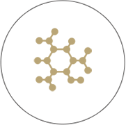 大阳城集团娱乐视频
