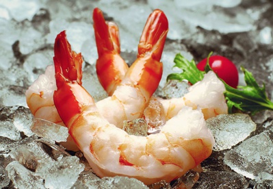 大阳城集团娱乐视频