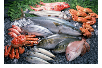 大阳城集团娱乐视频