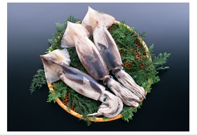 大阳城集团娱乐视频