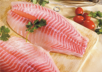 大阳城集团娱乐视频