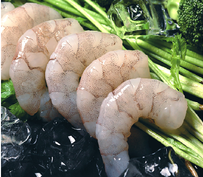 大阳城集团娱乐视频